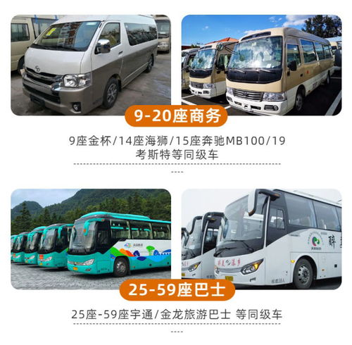 貴州旅游包車全攻略 私人定制小包團(tuán)與家庭包車游讓你的旅程更自在